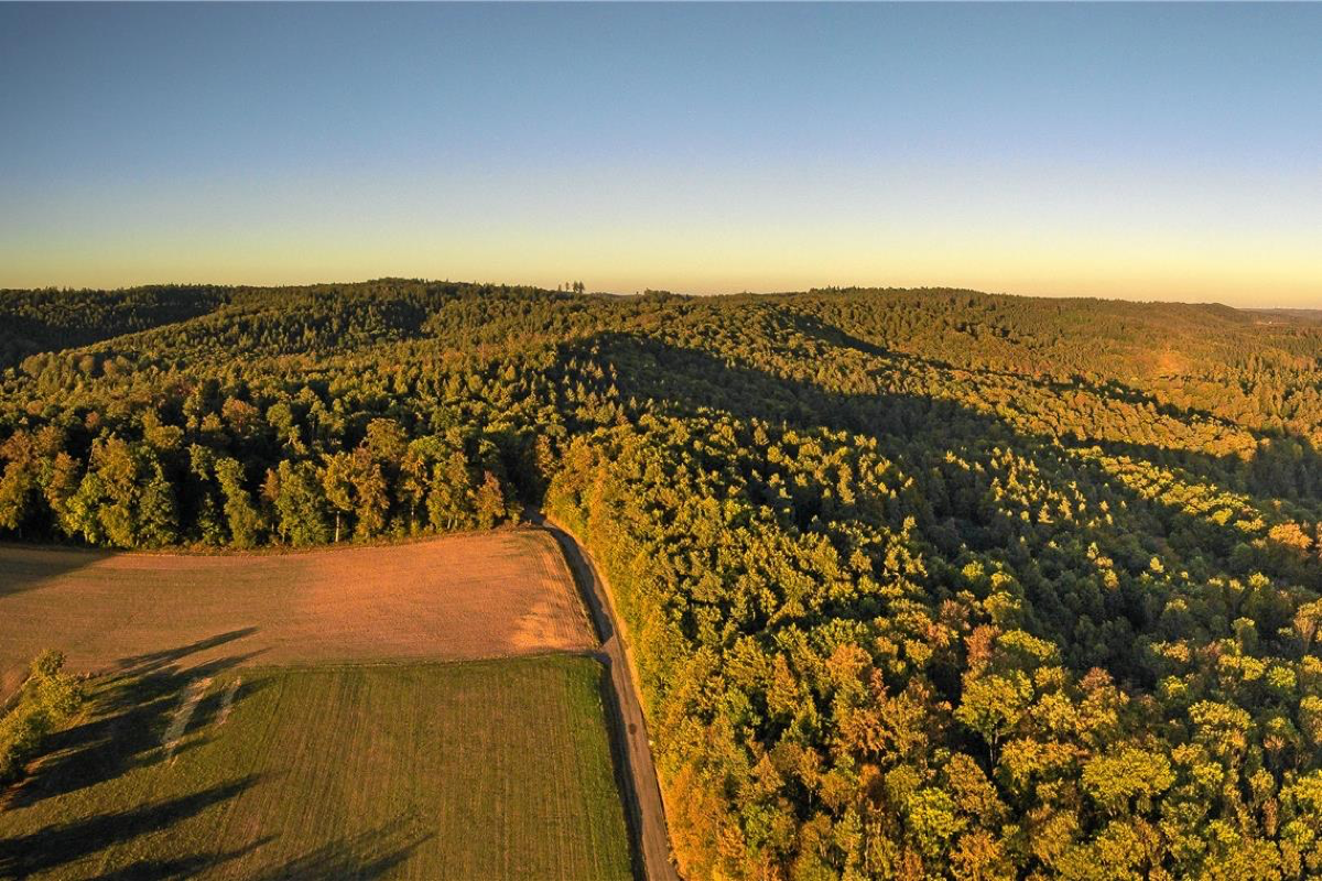 Teile der Waldfläche zwischen Allmersbach am Weinberg (im Vordergrund) und Spiegelberg-Nassach müssten nach Planung der EnBW für die Windräder weichen.